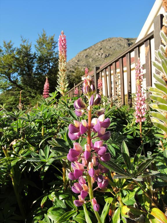 Hosteria El Pilar El Chalten Dış mekan fotoğraf